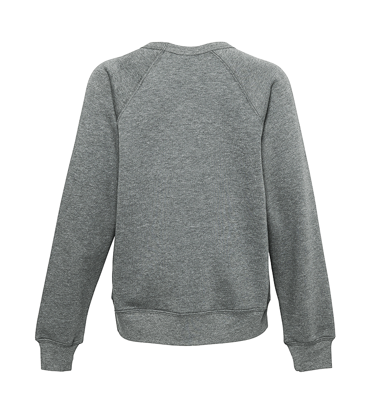 Back of a grey sweatshirt to show that there is no logo or graphic.